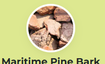 Maritime Pine Bark