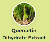 Quercetin Dihydrate Extract